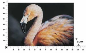 Stampa Su Tela Con Applicazioni -B- Flamingo Cm 120X3,8X80
