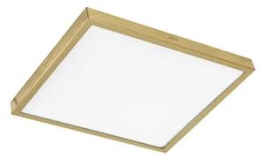 Rossini Scrat 10630-30-OL plafoniera con cornice oro