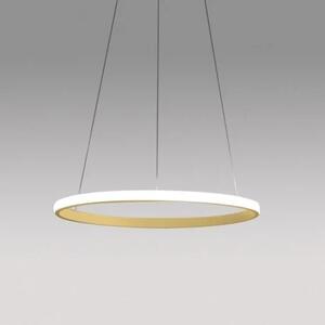 Gea Luce Iole S/1 Oro lampadario cerchio led 3000K 1400lm