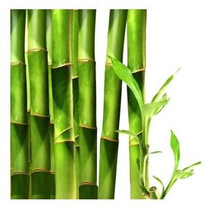 Profumatore Ambiente Spray Bamboo Lime - 100 ml - Belforte Fragranze