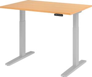 Scrivania regolabile in altezza XMKA | 2 motori | 120-180 cm | elettrica | faggio, colore struttura:argento, dimensioni piano d'appoggio:120 x 80 cm
