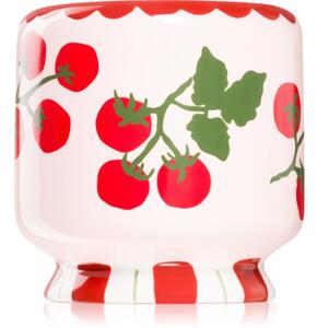 Paddywax A Dopo Tomato Vine candela profumata 226 g