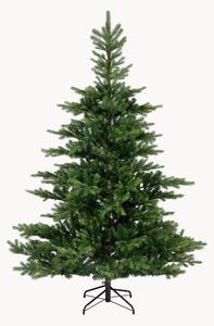 Albero di Natale Gradnis