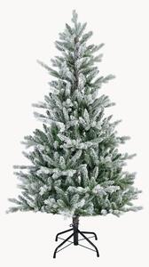 Albero di Natale Allison