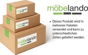 FMD Möbel LEX 1, scrivania, repro rovere, 353-001