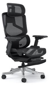 Sedia da ufficio ergonomica SkyLand | Sedia da scrivania con doppio supporto lombare e braccioli 6D | Sedia in rete inclinabile a 145 gradi | Sedia girevole per l'home office