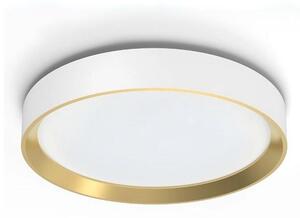Philips - Plafoniera LED dimmerabile HANNO LED/24W/230V 4000K bianco