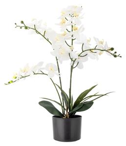 Fiore finto (altezza 84 cm) Orchid - Bloomingville