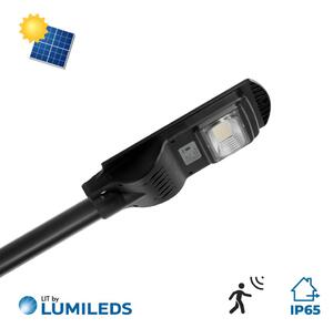 Armatura Stradale Solare 30W, 5.000k, Luce Minima + Sensore di Mov. Aut. 10h LED PHILIPS Lumileds Colore Bianco Freddo 5.000K