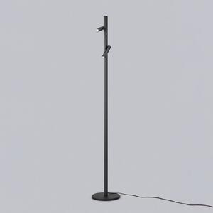 Helestra Coni piantana LED, 160 cm, nero