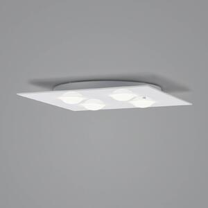 Helestra Nomi plafoniera LED 38x38cm dim bianco
