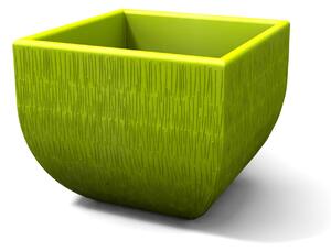 Vaso Porta vaso, h50 in polietilene Modello Mediterraneo Rustico Dimensioni 50x50xh 50 cm ideale x l'esterno si pu� piantumare direttamente al suo interno colore kiwi