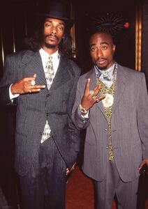 Posters, Stampe Snoop Dogg Tupac - Suits, (59.4 x 84.1 cm)