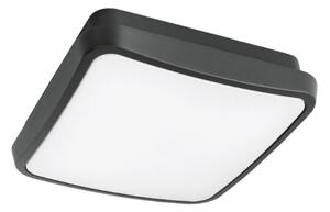 Plafoniera moderna gea led gpl370 led ip65 alluminio policarbonato - Gea Led
