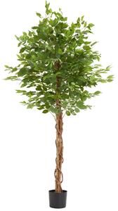 TecTake GmbH 405611 albero di ficus artificiale fida, texture realistica - 180 cm