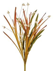 Erba cipollina bianca