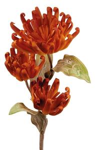 Castilleja