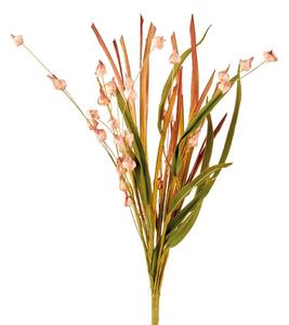 Erba cipollina rosa