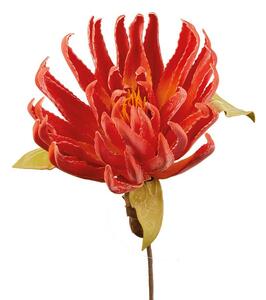 Dragon Claw arancione