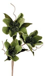 Fiore di Ceiba
