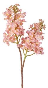 Lilla' rosa