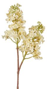 Lilla' bianco