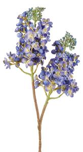 Lilla' blu