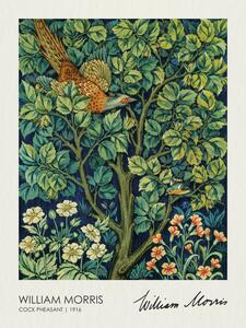 Riproduzione The Pheasant 1916, William Morris