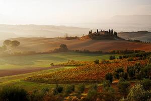 Fotografia View across Tuscan landscape, Gary Yeowell