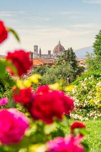 Fotografia Florence Tuscany Italy Roses and cityscape, Francesco Riccardo Iacomino