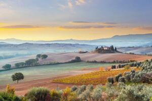 Fotografia Landscape in Tuscany Italy, mammuth