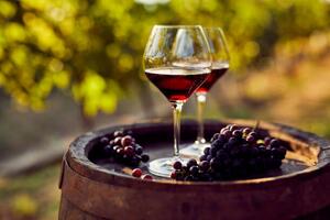 Fotografia Two glasses of red wine in the vineyard, Rostislav_Sedlacek
