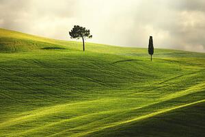 Fotografia Landscape in Tuscany, Peter Zelei Images