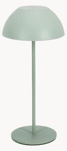Lampada LED da interno-esterno con luce regolabile Beren