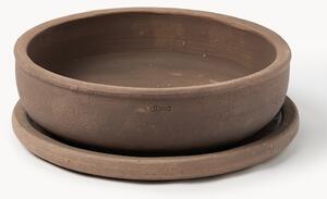 Vaso per piante da esterno in terracotta Terra, alt. 11 cm