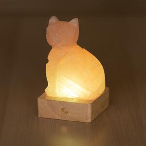 Lampada di Sale Himalayano a batteria Rosa naturale a forma di Gatto 600gr