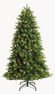Albero di Natale a LED da esterno Tanne, varie misure