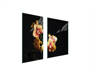 Piastre copri fornelli 2 pezzi 75x52 Copri piano cottura in Vetroceramica tagliere in vetro Orchid Black