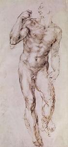 Michelangelo Buonarroti - Riproduzione Sketch of David with his Sling 1503-4, (23.3 x 50 cm)