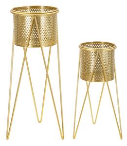 Porta Vasi Glat Coppia 21x20x46 cm - 18x18x32 cm in Ferro Oro