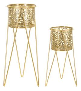 Porta Vasi Glod Coppia 21x20x46 cm - 18x18x32 cm in Ferro Oro