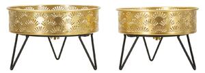 Porta Vasi Zanny Coppia Ø20,5x13 cm - Ø18x13 cm in Ferro Nero e Oro