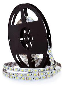 Striscia LED 5m 45W/12V IP20 3000K