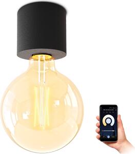 SSC-LUXon NAMBI plafoniera incl. Smart Home WiFi E27 LED Vintage Globe - Plafoniera nera compatibile con Alexa, Siri e Google