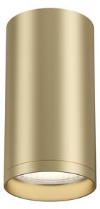 Plafoniera Focus oro opaco 10 cm GU10 Maytoni