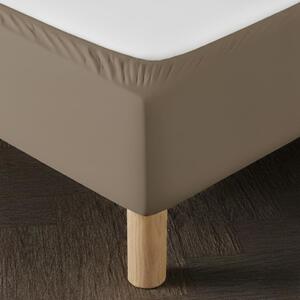 Lenzuolo elasticizzato per rete a molle, 160x200, color tortora, morbido ed elastico