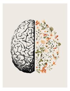 Illustrazione Brain Bloom, Beth Cai