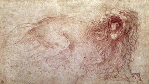 Riproduzione Sketch of a roaring lion, Leonardo da Vinci