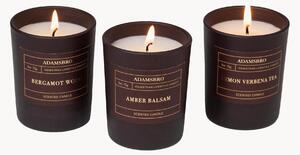 Set di 3 candele profumate Adamsbro (legno di bergamotto, ambra, verbena)