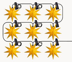 Ghirlanda natalizia a LED Luminary